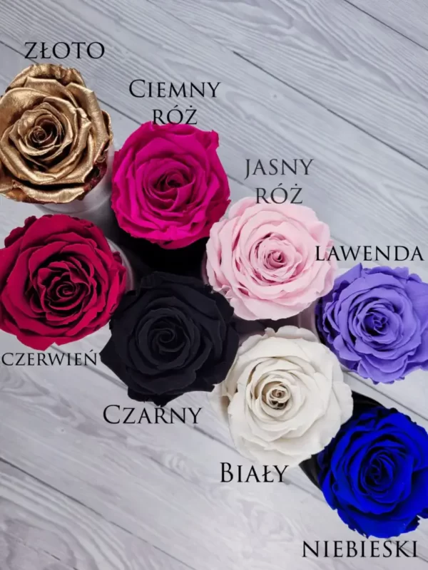 kolory wiecznych róż w flowerboxach z wiecznych róż